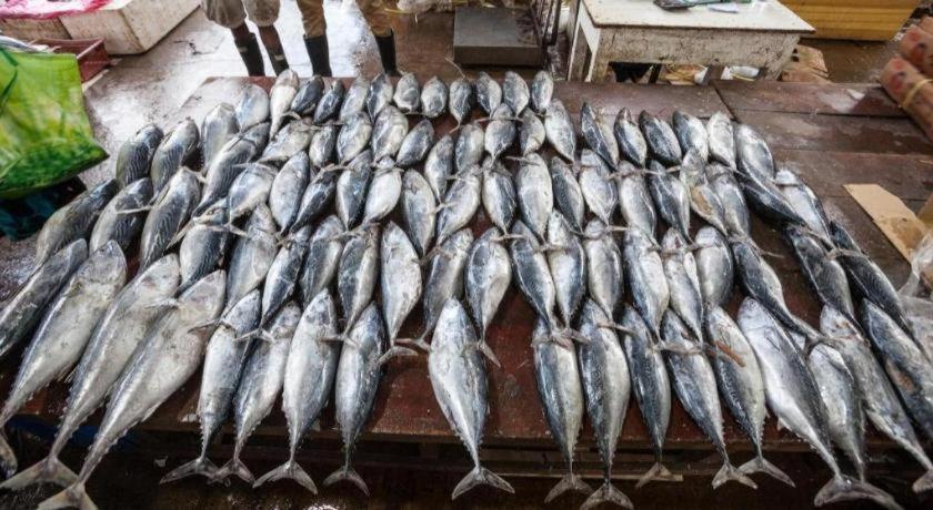 فندق أراليا بلو بيتش فيو Kudapaduwa المظهر الخارجي الصورة